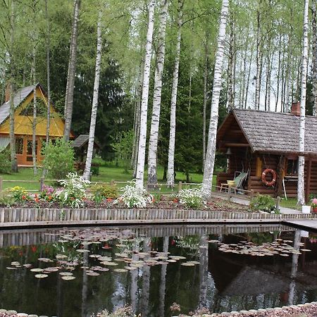 Holiday Home Berzlejas Upesgriva Екстер'єр фото